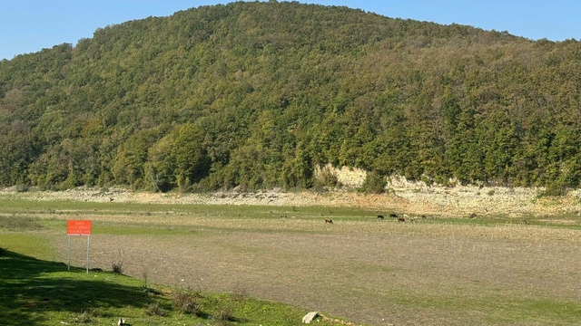 Galeri