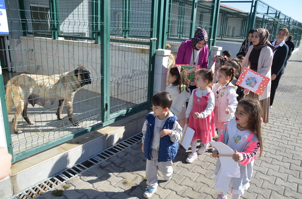 Öğrencilerden Sokak Hayvanları Bakım ve Rehabilitasyon Merkezine ziyaret