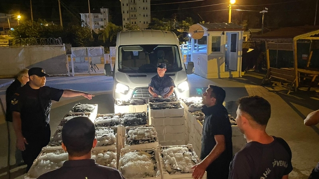 Kastamonu'da boy limitinin altında avlanan 162 kasa balığa el konuldu