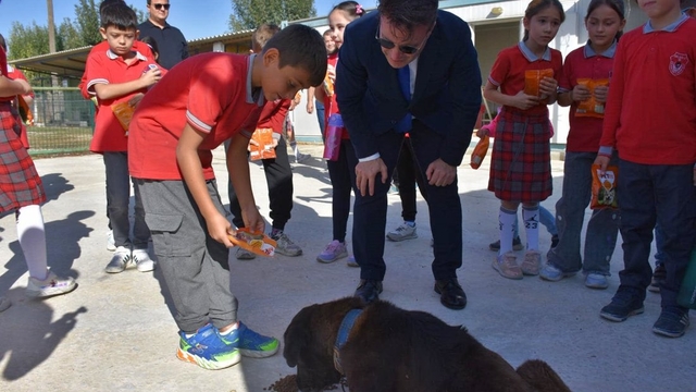 Gelibolulu öğrenciler barınaktaki köpekleri besledi