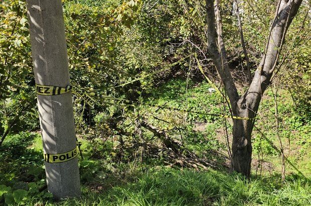 Fındık bahçesindeki kadını domuz sanıp, tüfekle vurarak öldürdü