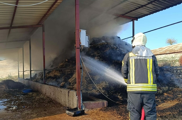 Manisa'da ahır yangını; 7 büyükbaş öldü