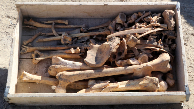 Burdur'daki Hacılar Höyüğü'nde 5 bin yıllık iskelet bulundu