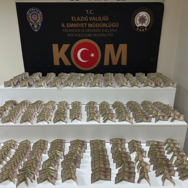 Elazığ'da piyasaya sahte dolar süren kişi tutuklandı