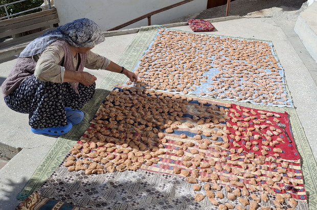 Beypazarı'da kadınlar, kışlık tarhana ve salça yapıyor