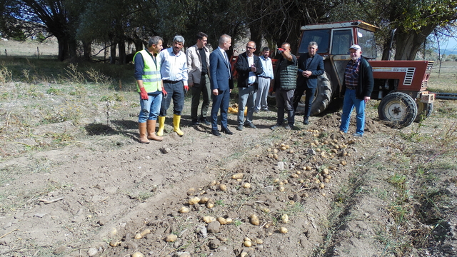 Orta'da Kaymakamı Minuz, patates hasadı yapan çiftçileri ziyaret etti