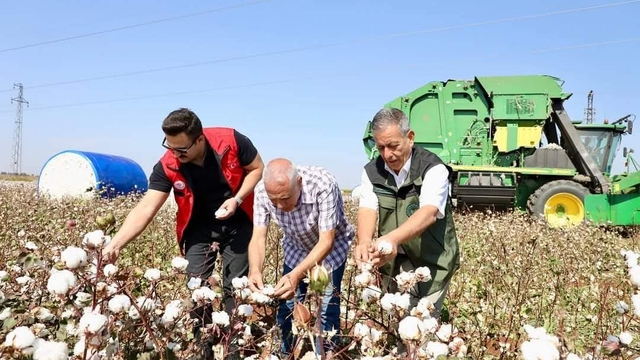 Viranşehir Kaymakamı Ülkü, pamuk tarlasında hasada katıldı