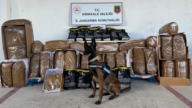 Kırıkkale'de kargo aracında 710 kilogram kaçak tütün ele geçirildi