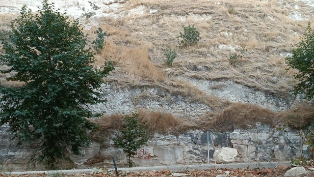 Galeri