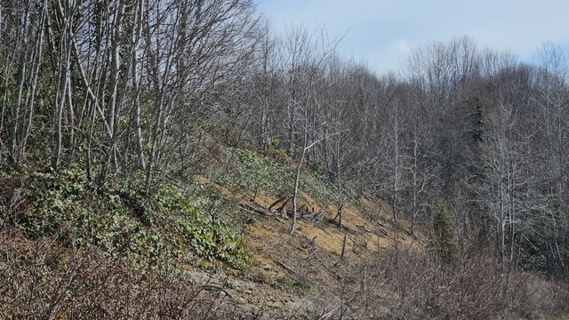 Galeri