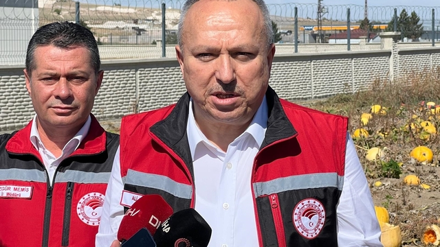 Nevşehir'de çerezlik kabak çekirdeği hasadı başladı