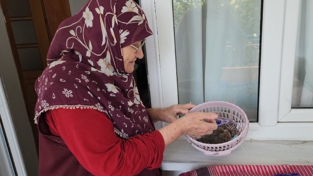 Amasya'da annesinin terk ettiği kumru yavrusuna 78 yaşındaki kadın sahip çıktı