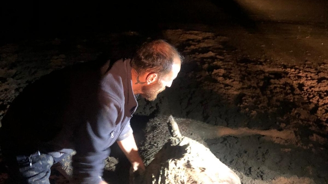 Kayseri'de çamura saplanan at 4 saatlik çalışma sonucu kurtarıldı