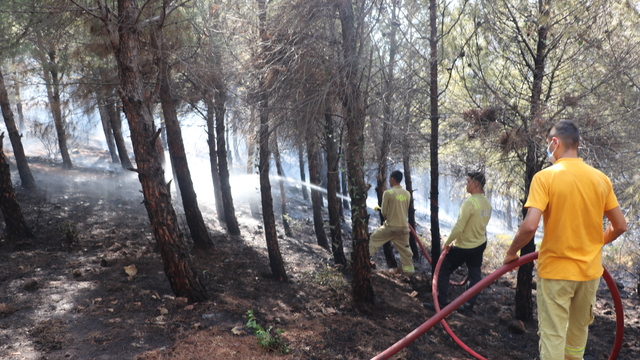 Hatay'da ormanlık alanda çıkan yangın söndürüldü