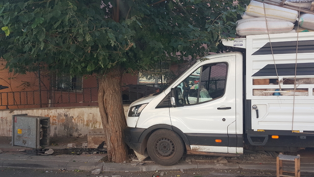 Bingöl'de freni tutmayan kamyonetin pano ve ağaca çarpması sonucu sürücü yaralandı