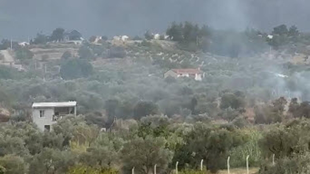 İzmir'de zeytinlikte çıkan yangın söndürüldü