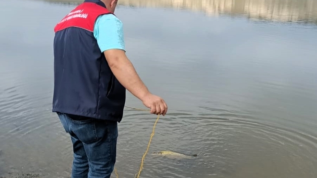 Kırklareli'nde amatör balıkçılar denetlendi