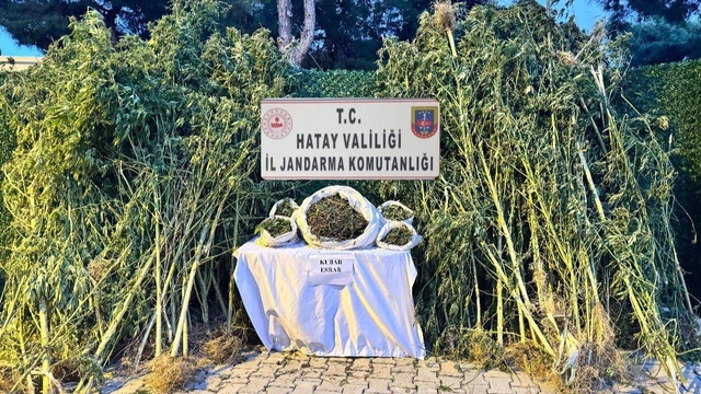 Hatay'da uyuşturucu ve kaçakçılık operasyonlarında 36 şüpheli yakalandı