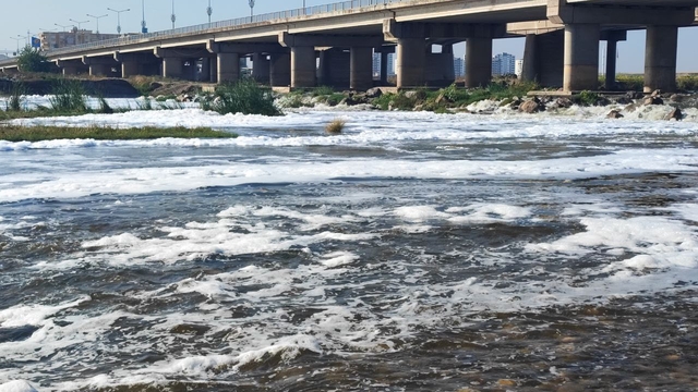 Dicle Nehri'ndeki 'Beyaz köpük' için inceleme