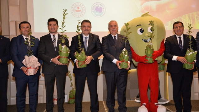 Trabzon'da 5 bininci Yomra elması fidanı dikildi