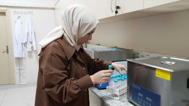 Karabük'te siyez buğdayının kalın bağırsak mikrobiyotası üzerindeki etkileri araştırılıyor