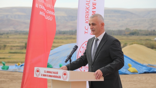 Kırıkkale'de çeltik hasadı başladı