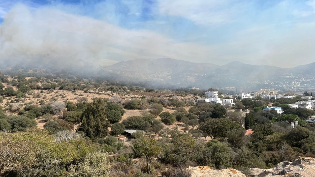 Bodrum'da çıkan yangında 5 hektar makilik zarar gördü