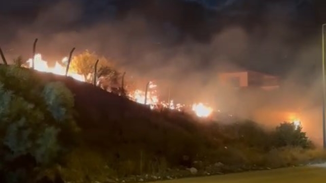 Adana'da Seyhan Baraj Gölü kıyısındaki ağaçlıkta yangın