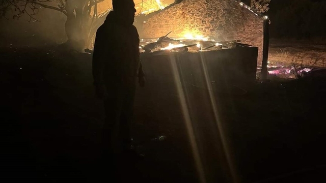 Muğla'da orman yangını (4)