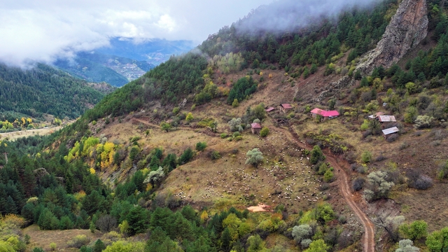Zigana Dağı sonbahar renklerine büründü