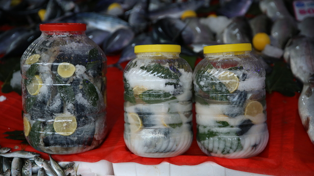 Karadeniz'de palamut salamurası sezonu başladı