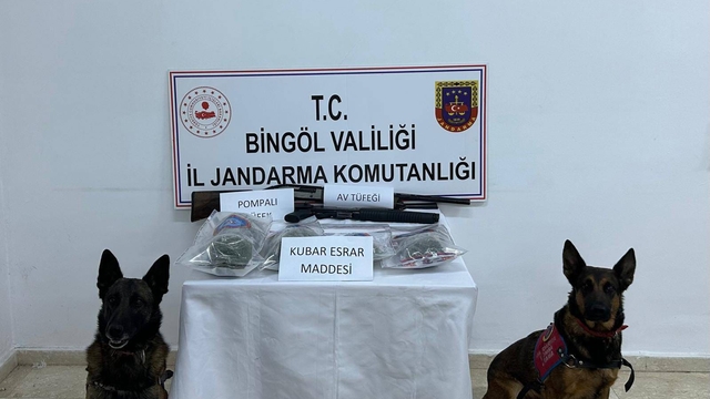 Bingöl'de 8 kilogram esrar ve 4 bin 915 kök Hint keneviri ele geçirildi