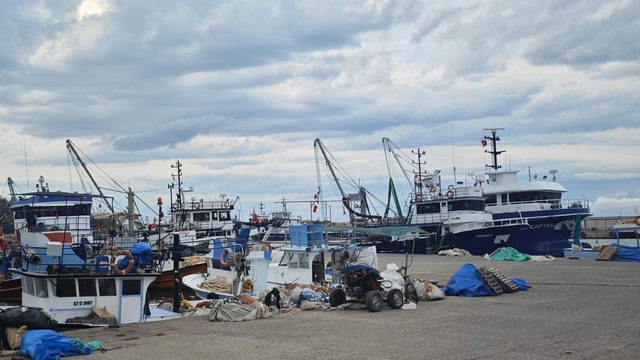 Samsun'da olumsuz hava koşulları nedeniyle balık tezgahları boş kaldı