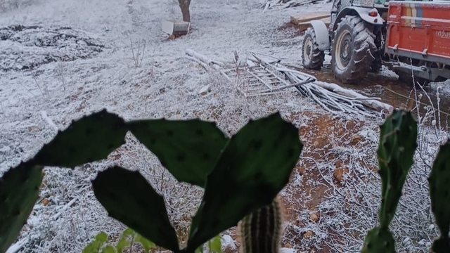 Doğanşar'da kar yağışı etkili oldu