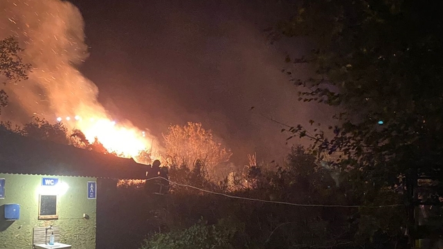 Adana'da narenciye bahçesinde çıkan yangın söndürüldü
