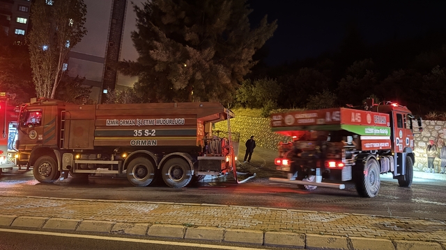 İzmir'in Gaziemir ilçesinde orman yangını çıktı