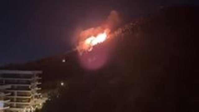 İzmir'de orman yangını (2)