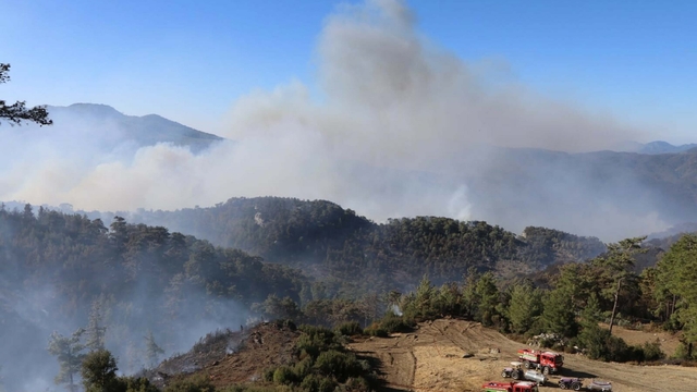 Muğla'nın 2 ilçesinde orman yangınlarına müdahale sürüyor
