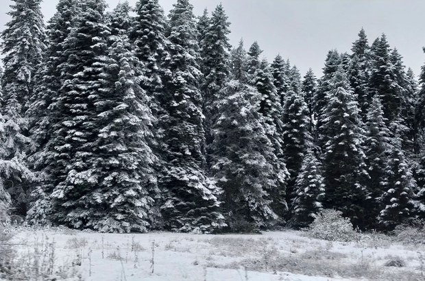 Bolu’nun yüksek kesimleri beyaza büründü