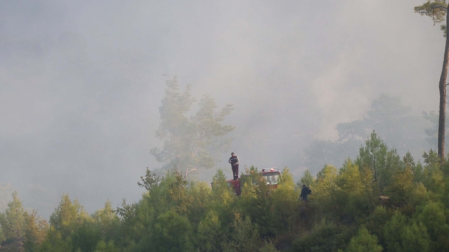 Muğla'nın 2 ilçesinde orman yangınlarına müdahale sürüyor (3)