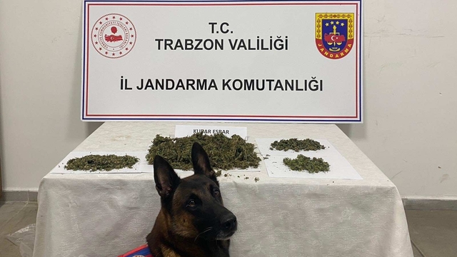 Trabzon'da uyuşturucu operasyonunda 2 şüpheli yakalandı