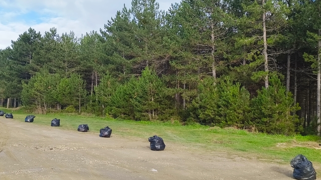 Kastamonu Belediyesi ormanlık alanlarda temizlik yaptı