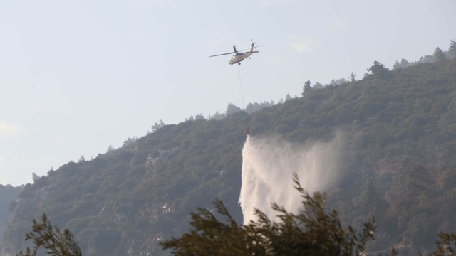 Muğla'nın 2 ilçesinde orman yangınlarına müdahale sürüyor (4)