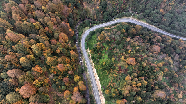 Doğu Karadeniz'de sonbahar manzaraları