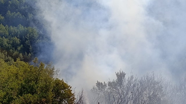 Hatay'da çıkan orman yangını söndürüldü