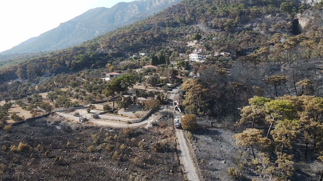 Galeri
