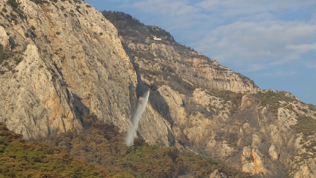 Galeri