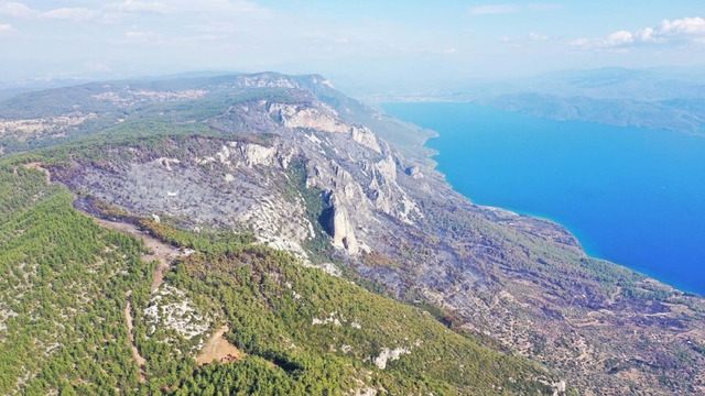 Muğla'daki orman yangını 4'üncü gününde (2)