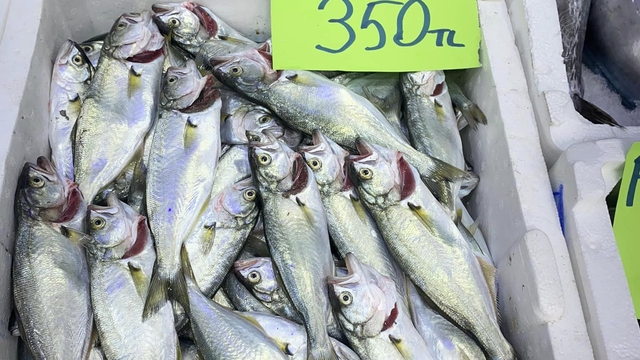 Ordu'da olumsuz hava koşulları balık fiyatlarını artırdı