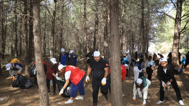 Antalya'da orman temizliği yapıldı